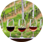 Wineries, Breweries, Distilleries and Cider House